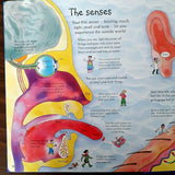 See Inside Your Body (Usborne Flap Books)