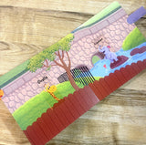 Look Who's Hiding: Zoo : Pull The Tab Novelty Books For Children