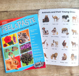 Peel and Paste Pictorial Sticker Book For School Projects (Book 1)