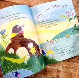 Dream Big, Little Mole