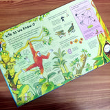 See Inside Science (An Usborne Flap Book)