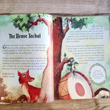 Pandit Vishnu Sharma's Panchatantra: Illustrated Tales From Ancient India (Hardback, Special edition)