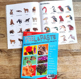 Peel and Paste Pictorial Sticker Book For School Projects (Book 1)