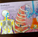 See Inside Your Body (Usborne Flap Books)