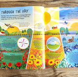 Up in the Air : Butterflies, birds, and everything up above (DKYR)