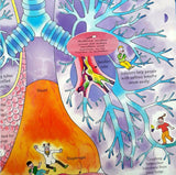 See Inside Your Body (Usborne Flap Books)