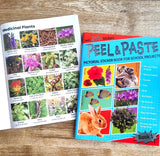 Peel and Paste Pictorial Sticker Book For School Projects (Book 1)