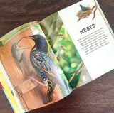 The Children's Book of Birdwatching