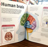 Our World in Pictures: An Encyclopedia of Everything