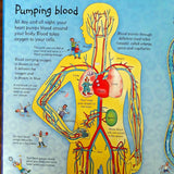 See Inside Your Body (Usborne Flap Books)