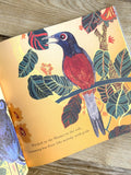 The Jungle Radio: Bird Songs of India