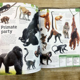 General Knowledge Genius! Packed With 1,000 Amazing Facts and Trivia for Curious Young Minds (DK)