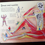 See Inside Your Body (Usborne Flap Books)