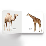 Animals - Board Book