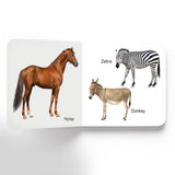 Animals - Board Book