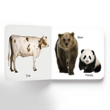 Animals - Board Book