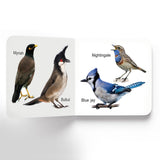 Birds - Board Book
