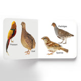 Birds - Board Book