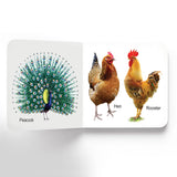 Birds - Board Book