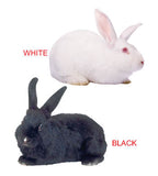 Opposites - Kiddy Board Book