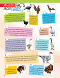 Animals and Birds Minipedia