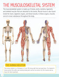 Human Body Minipedia