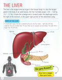 Human Body Minipedia