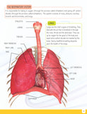 Human Body Minipedia