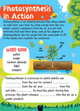 The Little Scientists Activity Book for Kids - Age 6+