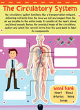 The Little Scientists Activity Book for Kids - Age 6+