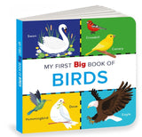 My First Big Book of Birds
