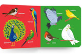 My First Big Book of Birds