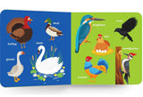 My First Big Book of Birds