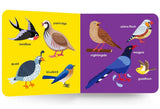 My First Big Book of Birds