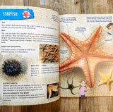 Explore Ocean World Encyclopedia