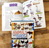 Minipedia Series  (A set of 3 Books)