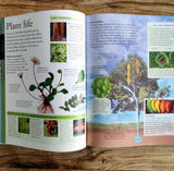 The New Children's Encyclopedia