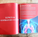 Knowledge Encyclopedia - Human Body