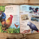 The Extraordinary World of Birds