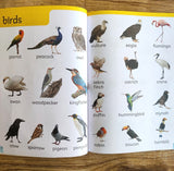 My First 1000 Words: Early Learning Picture Book