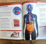 Knowledge Encyclopedia - Human Body