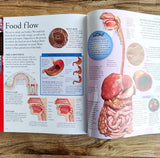 The New Children's Encyclopedia