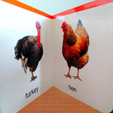 My First Book of Birds: First Board Book