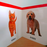 My First Book of Baby Animals: First Board Book