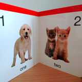 My First Book of Numbers: First Board Book