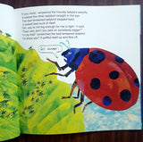 The Bad-tempered Ladybird