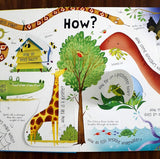 Usborne Lift-the-flap Questions and Answers about Animals