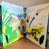 Peep Inside the Seashore (Usborne)