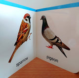 My First Book of Birds: First Board Book