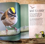 The Extraordinary World of Birds